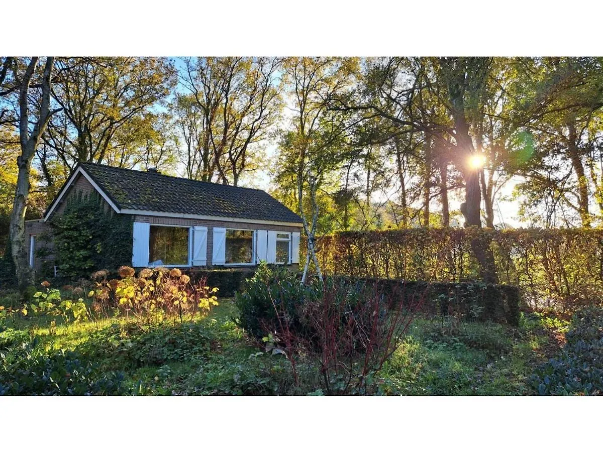 Holiday home Lovely House Located In A Private Natural Area Vessem Netherlands